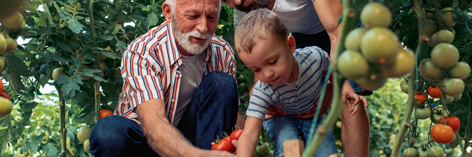 Georgia Farm Insurance Coverage